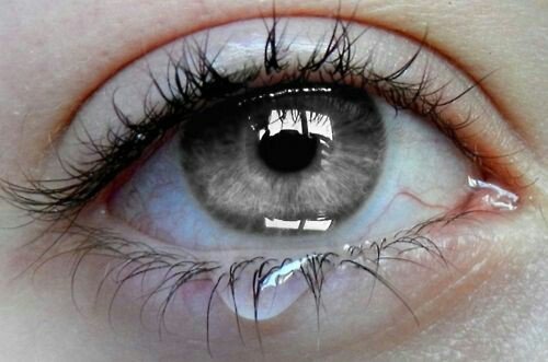 Silver grey eye color shared by Hajar Tidjani