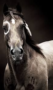 native american horse aesthetic - Google Search