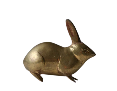 Gold rabbit
