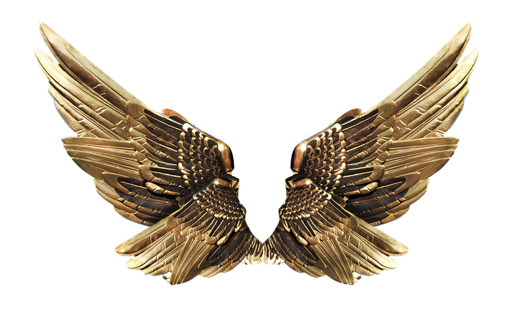 Wings Gold - Free photo on Pixabay