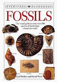 fossil book