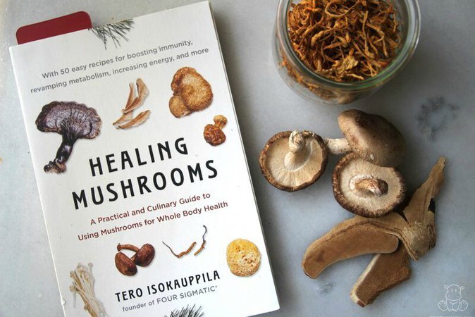 Top 15 Herb Books for Your Home Apothecary