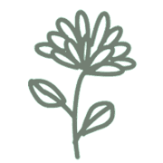 cute mum doodle chrysanthemum