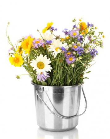 Orange bouquet heap of calendula in bucket box vase — Stock Photo © Madllen #34311075