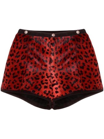 SAINT LAURENT leopard print micro shorts in Red
