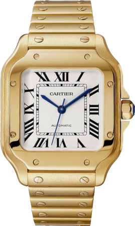 Cartier santos watch
