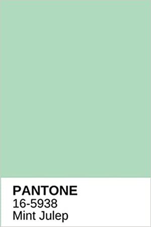 Mint Julep Blue Green Pantone Color Notebook Journal or Notepad Diary: Wide ruled lined 6” x 9” and 120 white pages: Amazon.co.uk: Writers, Revolutionary: 9798681516965: Books