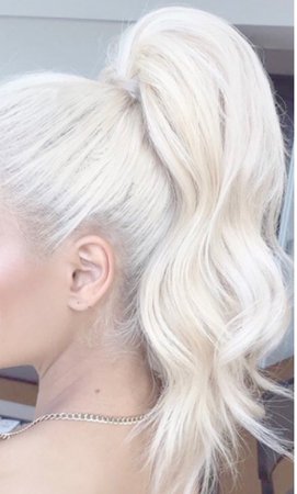 platinum blonde hair ponytail