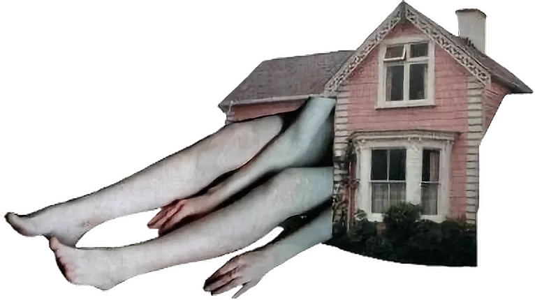 pink house limbs