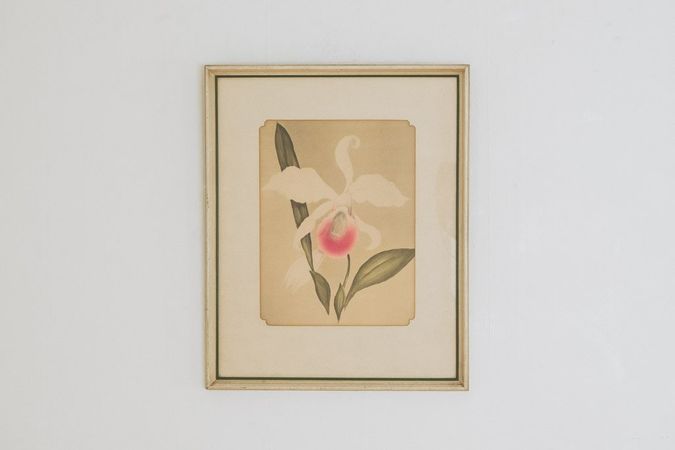 Orchid Watercolor Print - Homestead Seattle
