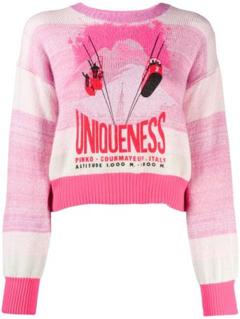 Pinko Courmayeur Sweater | Farfetch.com