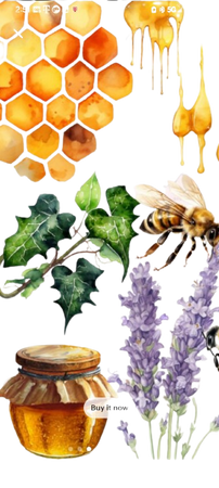 Honey Bee Fillers