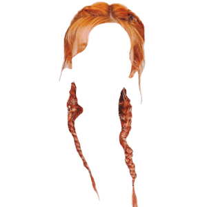 Twin Pigtails Braid Orange Hair PNG