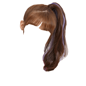 Brown Hair Bangs PNG Ponytail