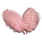 Amazon.com: 10 Pieces - 19-24" Light Pink Ostrich Dyed Drabs Body Feathers Wedding Party Carnival Gatsby Centerpiece Supplier | Moonlight Feather: Arts, Crafts & Sewing