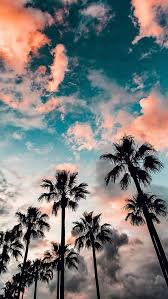 aesthetic summer background - Google Search