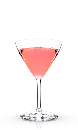 Pink Red Cocktail