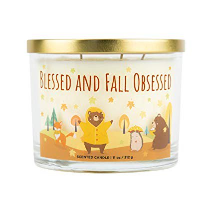 Amazon.com: Aromascape Blessed & Fall Obsessed, 3-Wick Scented Candle, Blessed and Fall, White: Home & Kitchen