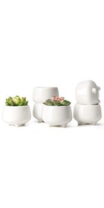 Amazon.com : Mkono 3 Inch Mini Cement Succulent Planter Modern Concrete Cactus Plant Pots Small Clay Indoor Herb Window Box Container for Home and Office Decor, Set of 4 (Plant NOT Included) : Garden & Outdoor