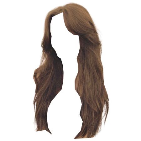 long brown hair curtain bangs blowout hairstyle
