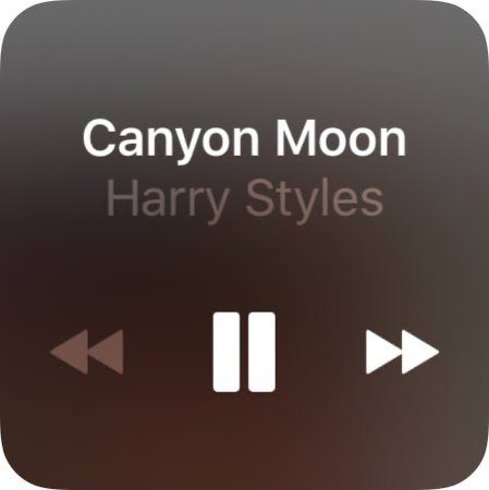 canyon moon harry styles