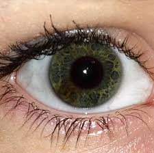 dark green eyes - Google Search