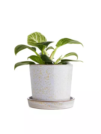 Terracotta Flower Pot 12 cm - Grey/Yellow - Home - ARKET WW