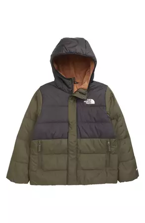 The North Face Kids' Water Repellent Fleece Lined 600 Fill Power Down Puffer Jacket | Nordstrom