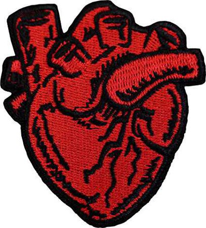 Anatomical Heart Patch