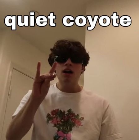 Nick's quiet coyote