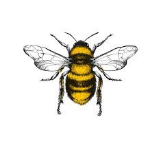 clip art bees - Google Search