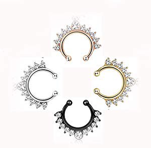 Amazon.com: LOYALLOOK 20G 15-28PCS Stainless Steel Fake Septum Ring Nose Hoop Piercing Clicker Ring Septum Retainer Set Body Jewelry Piercing: Jewelry