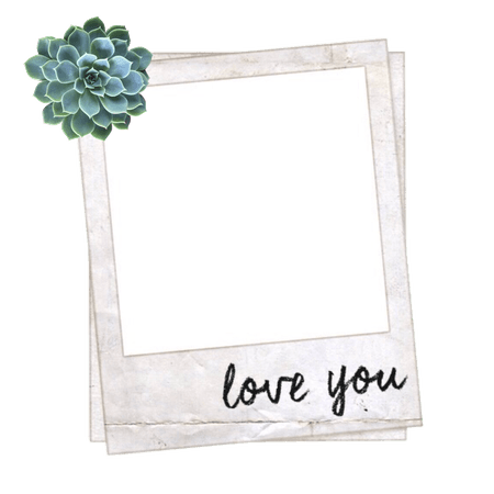 frame aesthetic tumblr polyvore succulent...