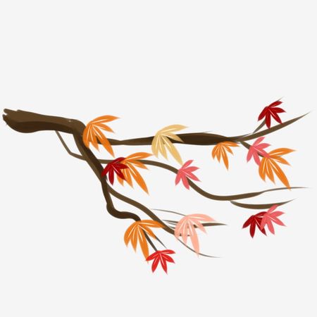 Autumn Maple Leaves White Transparent, Autumn Tree Maple Leaves Hand Drawn Illustration Element, Maple Leaf Clipart, Autumn Tree, Fall PNG Image For Free Download