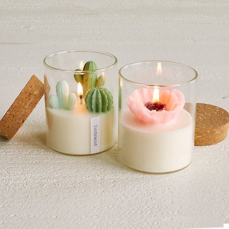 Terrarium Candle | Cactus Candles, Flower Candles | Uncommon Goods