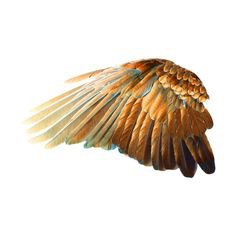 brown wings