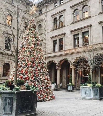 New York Christmas 🎄