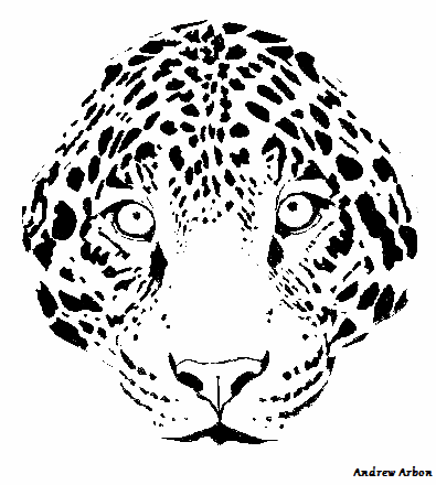 leopard face print sketch