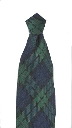 green and blue plaid tie