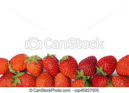 strawberry border - Google Search
