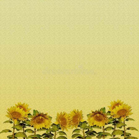 sunflower-paper-9638397.jpg (800×800)