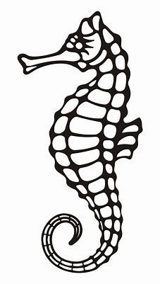 seahorse drawing - Bing images