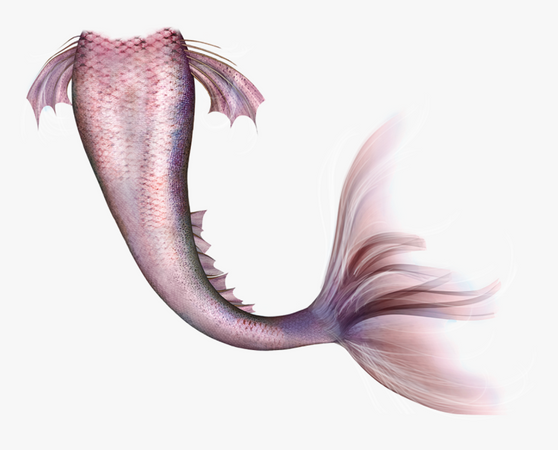 Mermaid Legendary Creature Fairy Tail - Mermaid Tail Png, Transparent Png , Transparent Png Image - PNGitem