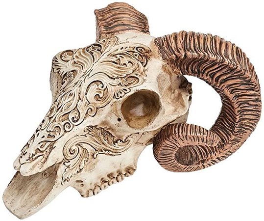 Alchemy Gothic Skrimshaw Ram Skull : Amazon.co.uk: Home & Kitchen