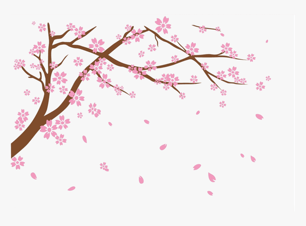 transparent sakura flower png - Google Search