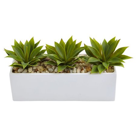 Faux Potted Agave Succulant | Pottery Barn Teen
