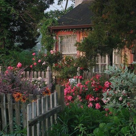 rose cottage