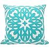 Amazon.com: Alysheer Embroidered Decorative Throw Pillow Cover 18x18, Cozy Fashion Stylish Mandala Chic Knit Pattern Soft 100% Cotton Canvas Aqua Green Turquoise Cushion Case for Sofa Couch Gifts (Tiffany Blue) : Home & Kitchen