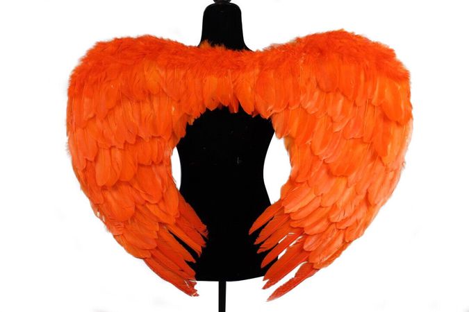 Real Goose Feather Orange Angel Wings Costume Accessory Adult 25" x 31"　 | eBay