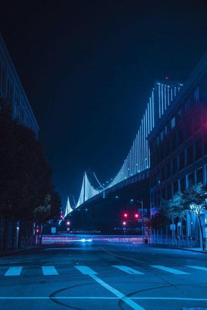 san francisco at night aesthetic - Google Search